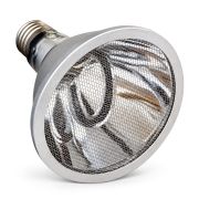 Arcadia Deep Heat Projector 1
