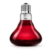 Arcadia Infrarood Warmtespot voor Terrarium 1