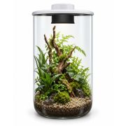 BIOART CYLINDER 285