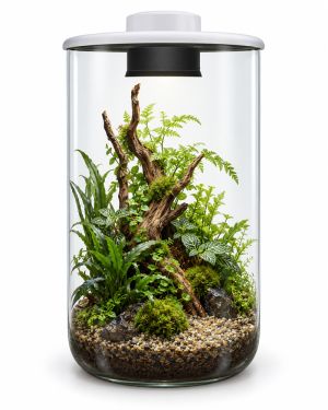BIOART CYLINDER 285