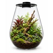 BIOART DROP black 10 litre