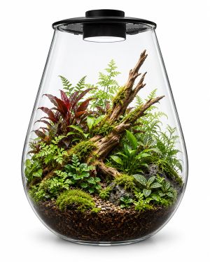 BIOART DROP – Mini Terrarium met LED Verlichting