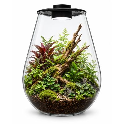 BIOART DROP – Mini Terrarium met LED Verlichting