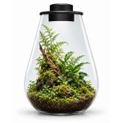 BIOART DROP black 5 litre