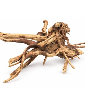 BioArt Spider Wood 10-15 cm