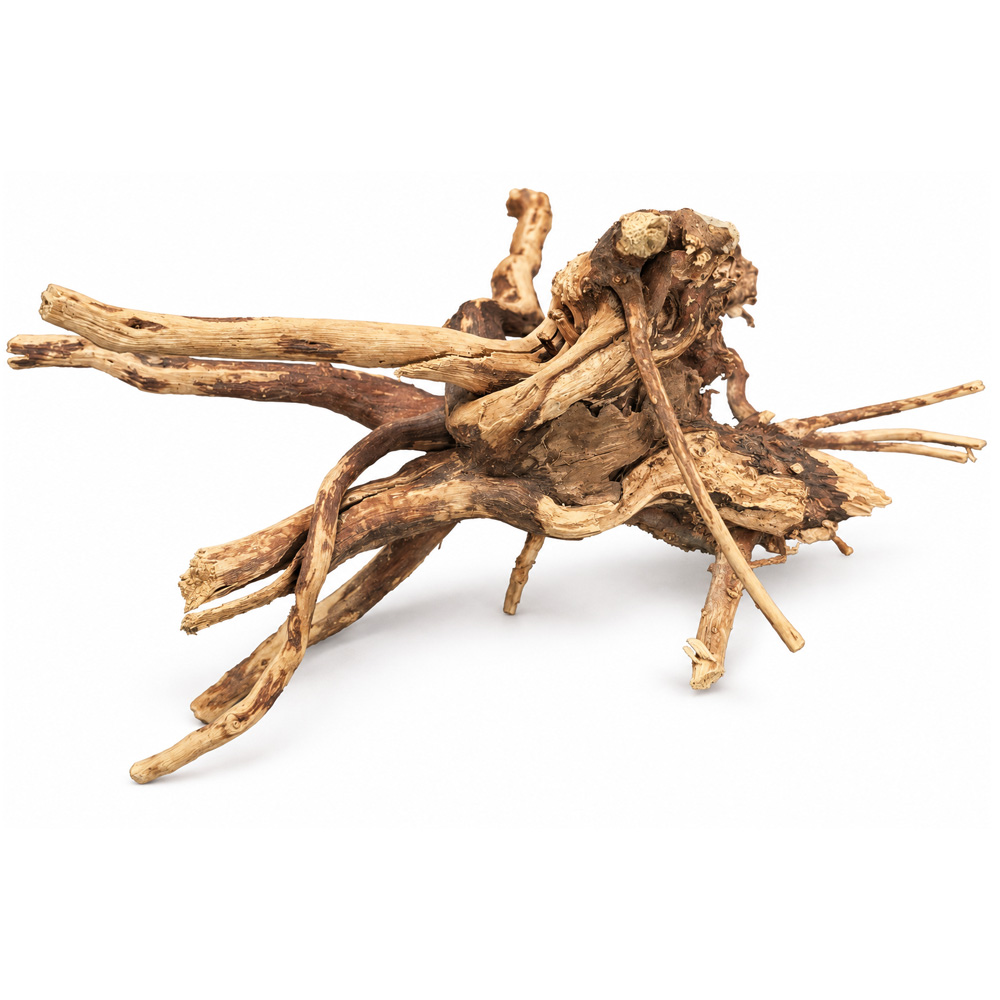 BioArt Spider Wood 10-15 cm