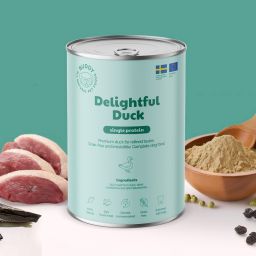 BUDDY Can Delightful Duck 1