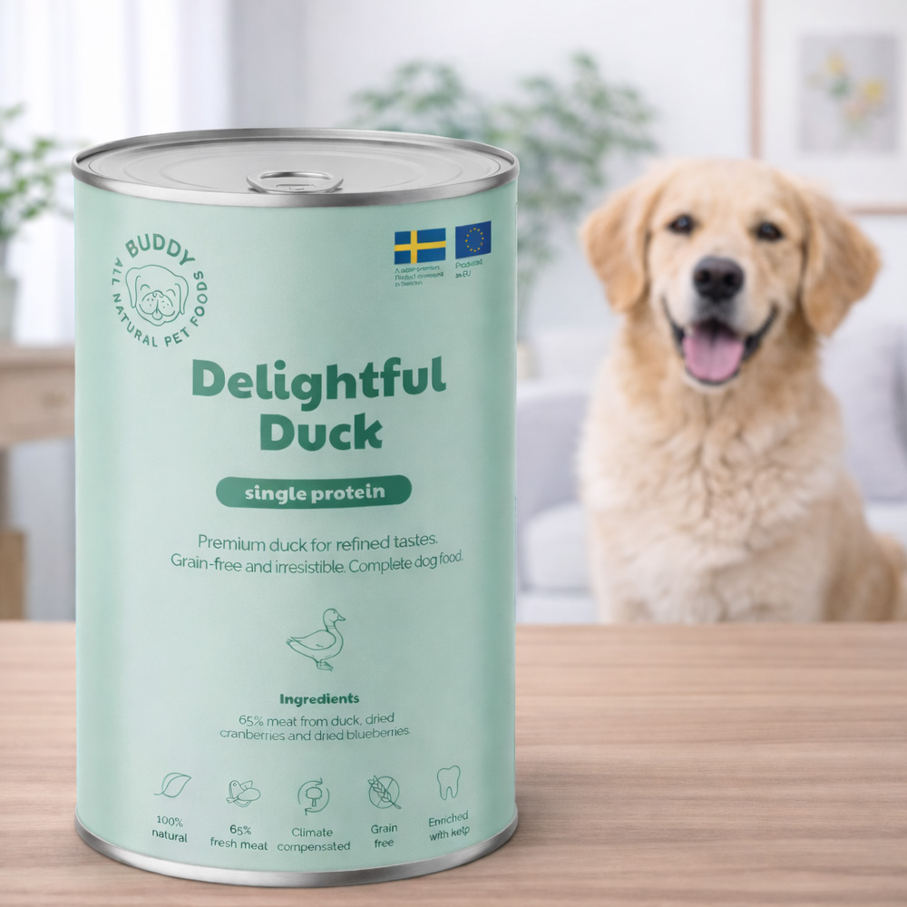 BUDDY Can Delightful Duck 2