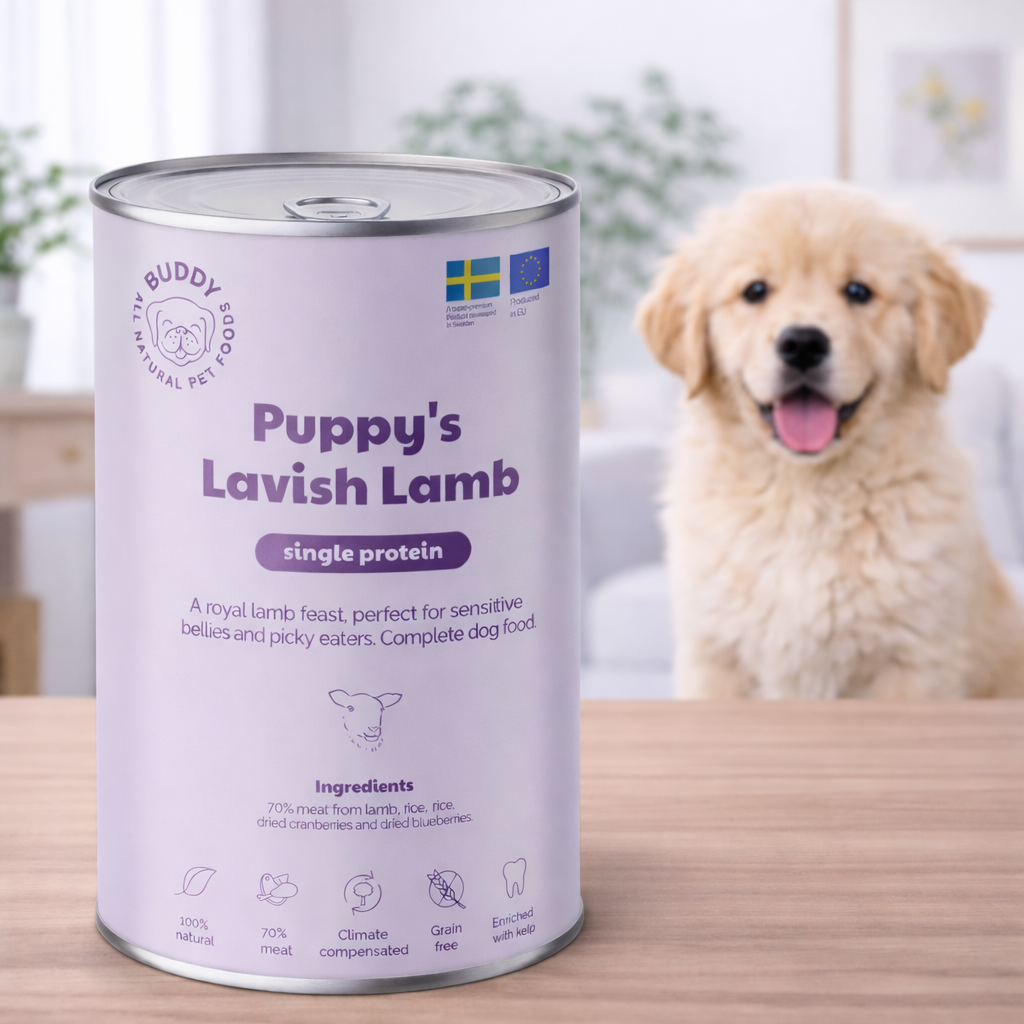 Buddy Can Puppy Lavish Lamb