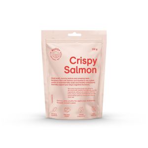 BUDDY Crunchy Snack Salmon with Blueberries
