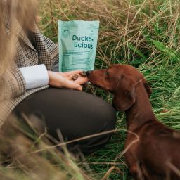 BUDDY Semi-moist Snack Duck with Rosemary 1