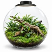 BioArt Bowl 225 1