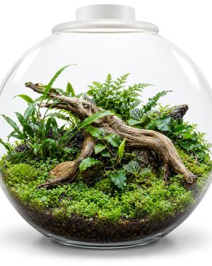 BIOART BOWL 225