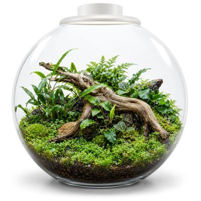 BIOART BOWL 225
