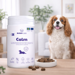Buddy Care Calm