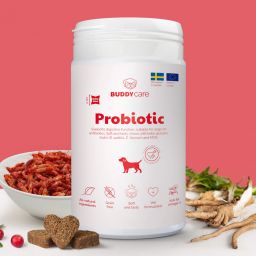 Buddy Care Probiotic 1
