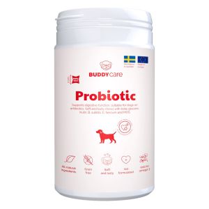 Buddy Care Probiotic