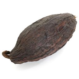 Cacaoboon