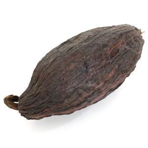 Cacaoboon