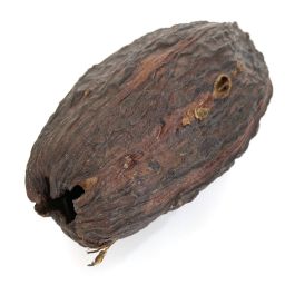 Cacaoboon
