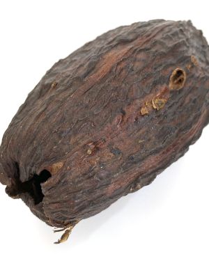 Cacaoboon
