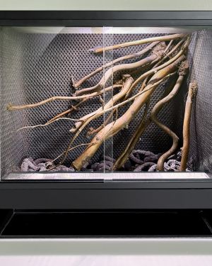 Mini Ecosysteem Canopy