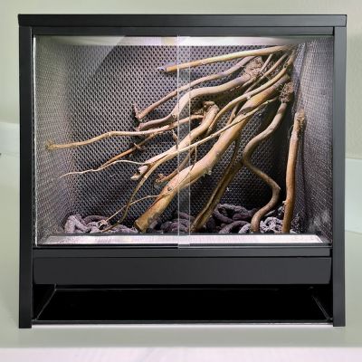 Mini Ecosysteem Canopy