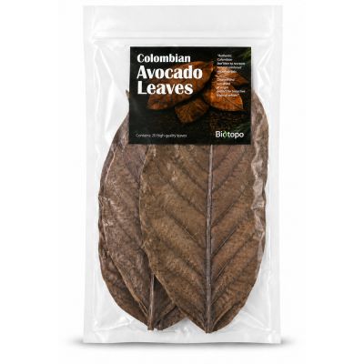 Colombian avocado leaves