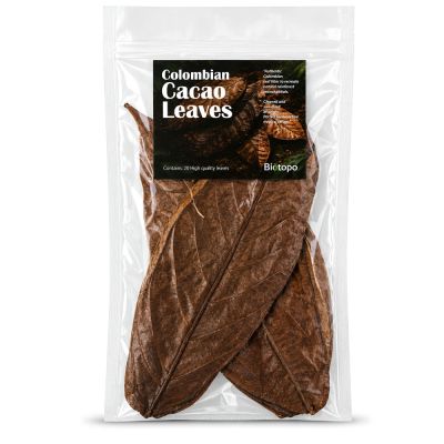 Colombian cacao leaves