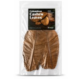 Colombian cashew leaves 3