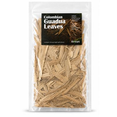 Colombian guadua leaves