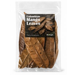 Colombian mango leaves