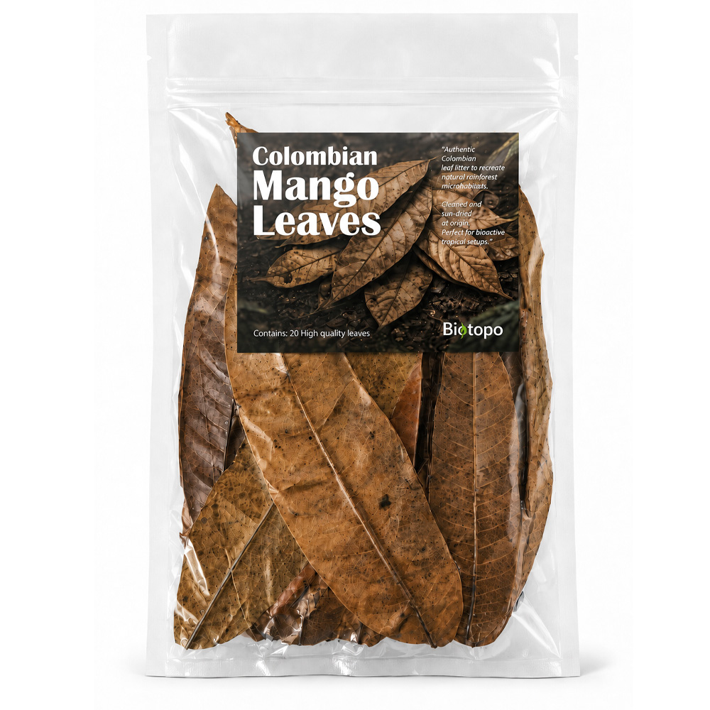 Colombian mango leaves 3
