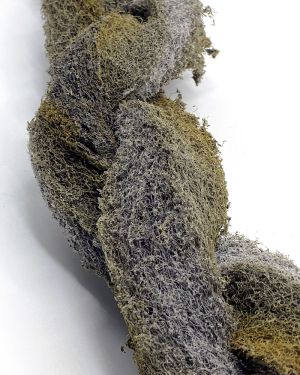 Epi-Web Lianen
