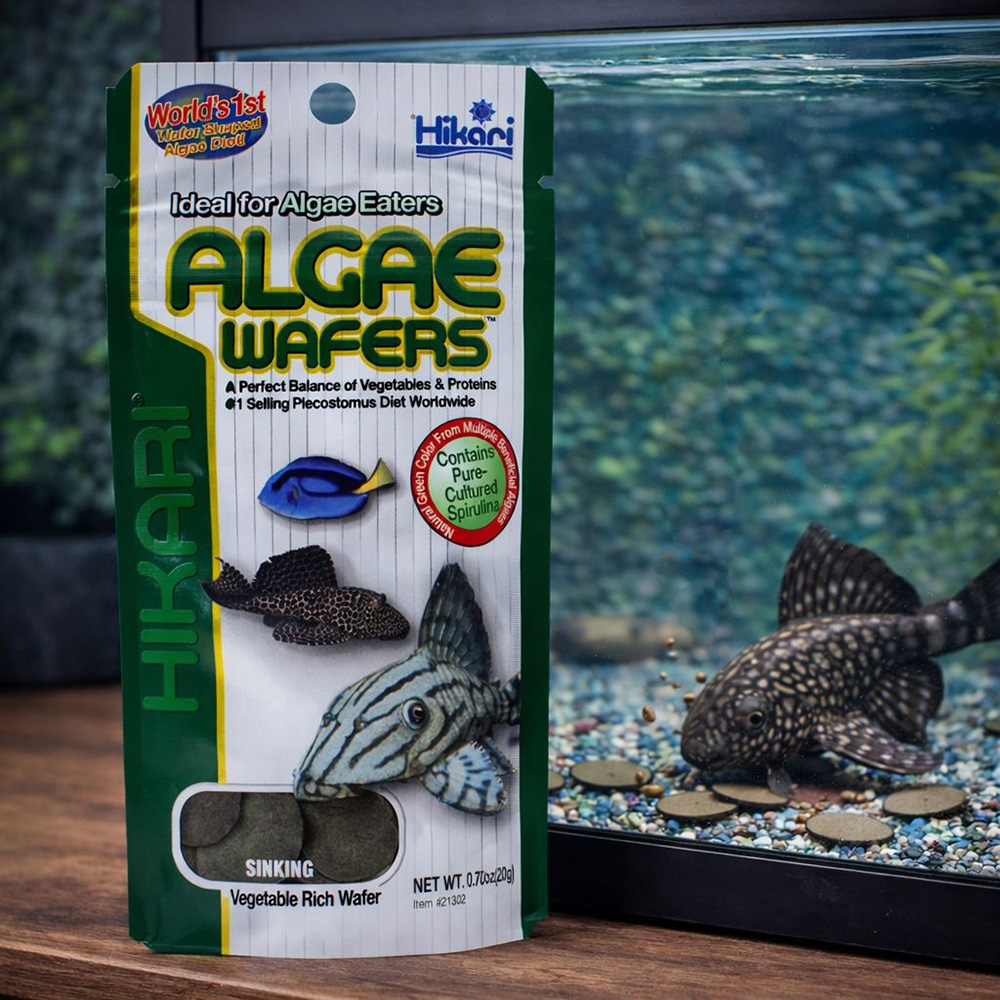 HIKARI ALGAE WAFERS 2