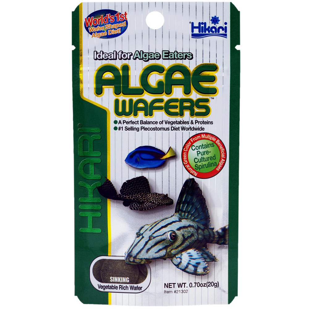 HIKARI ALGAE WAFERS