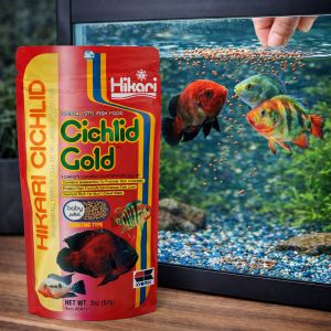 Hikari Cichlid Gold Floating