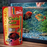 HIKARI CICHLID GOLD 02