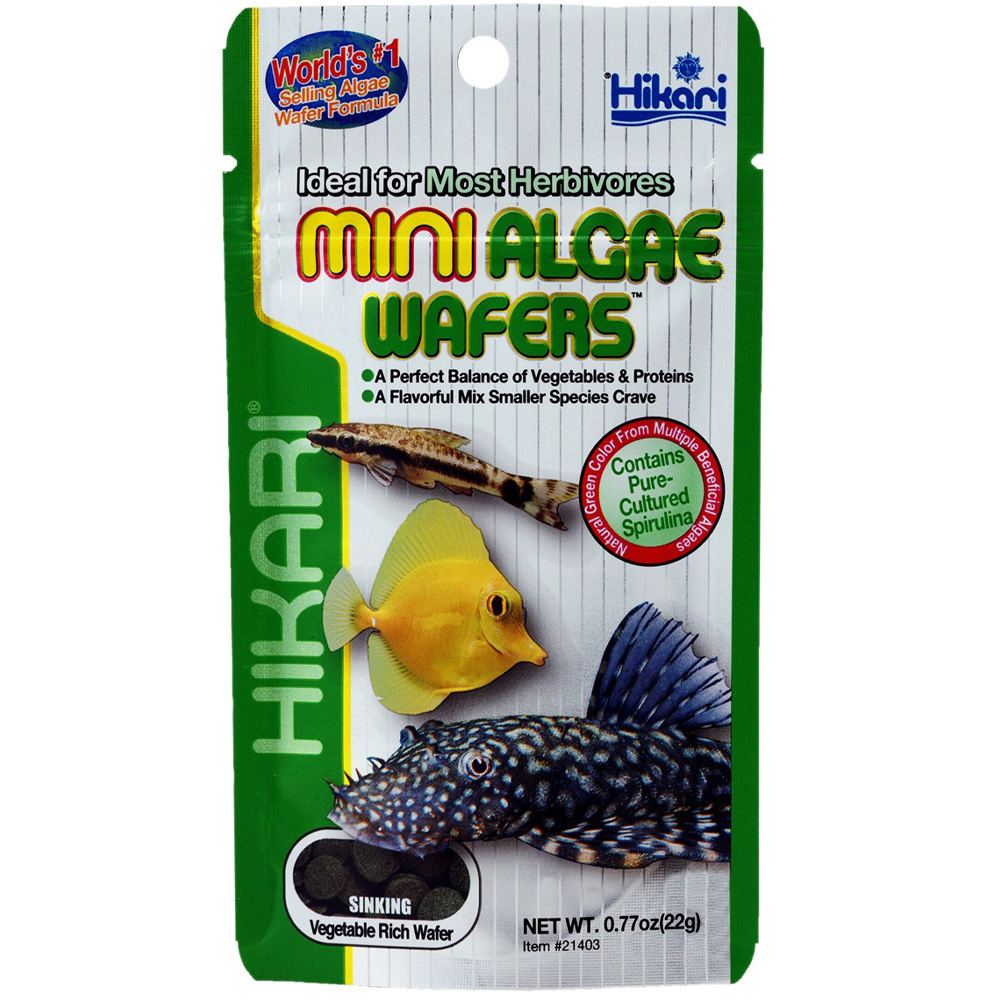 HIKARI MINI ALGAE WAFERS