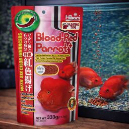 Hikari Blood-Red Parrot 1