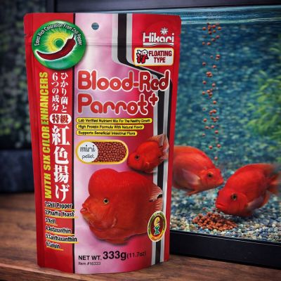 Hikari Blood-Red Parrot