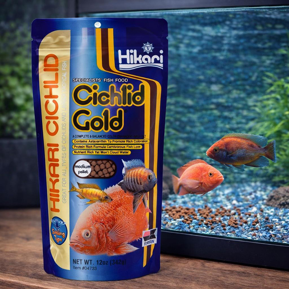 Hikari Cichlid Gold Sinking 02
