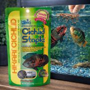 Hikari Cichlid Staple