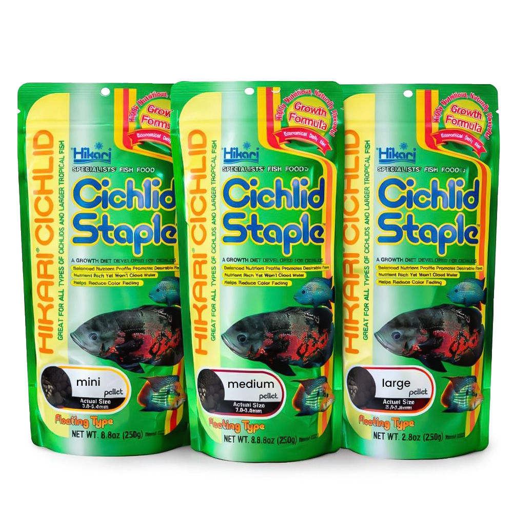 Hikari Cichlid Staple 02