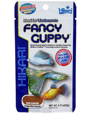 Hikari Fancy Guppy