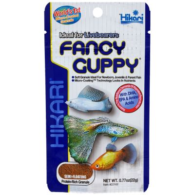 Hikari Fancy Guppy