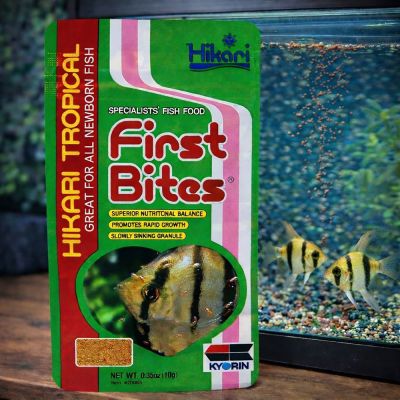 Hikari First Bites