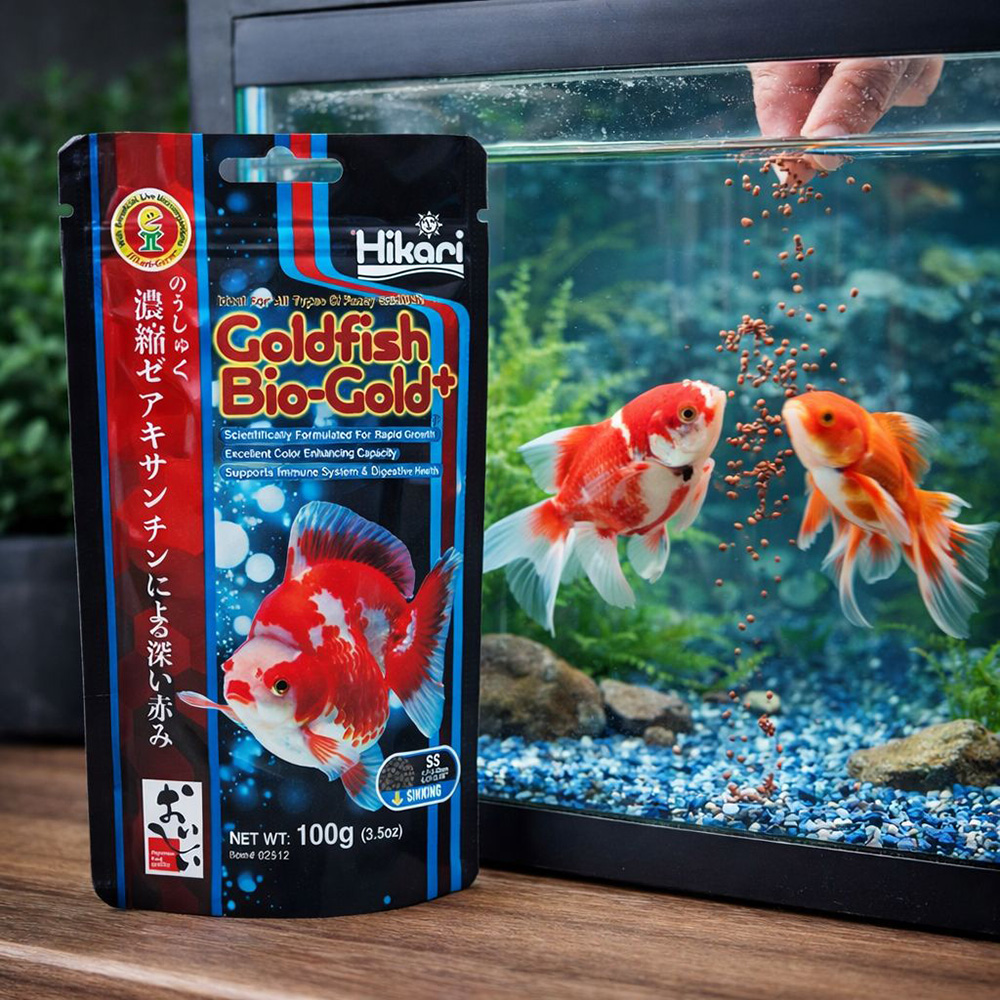 View of Hikari Goldfish Bio-Gold Sinking – Zinkende voeding voor goudvissen