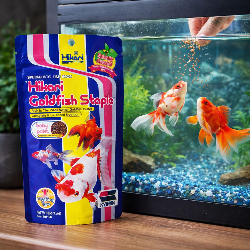 Hikari Goldfish Staple Baby 01