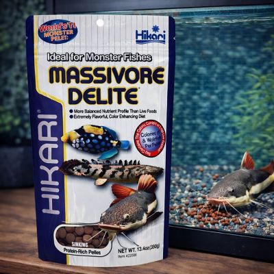 Hikari Massivore Delite